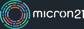 micron21.jpeg